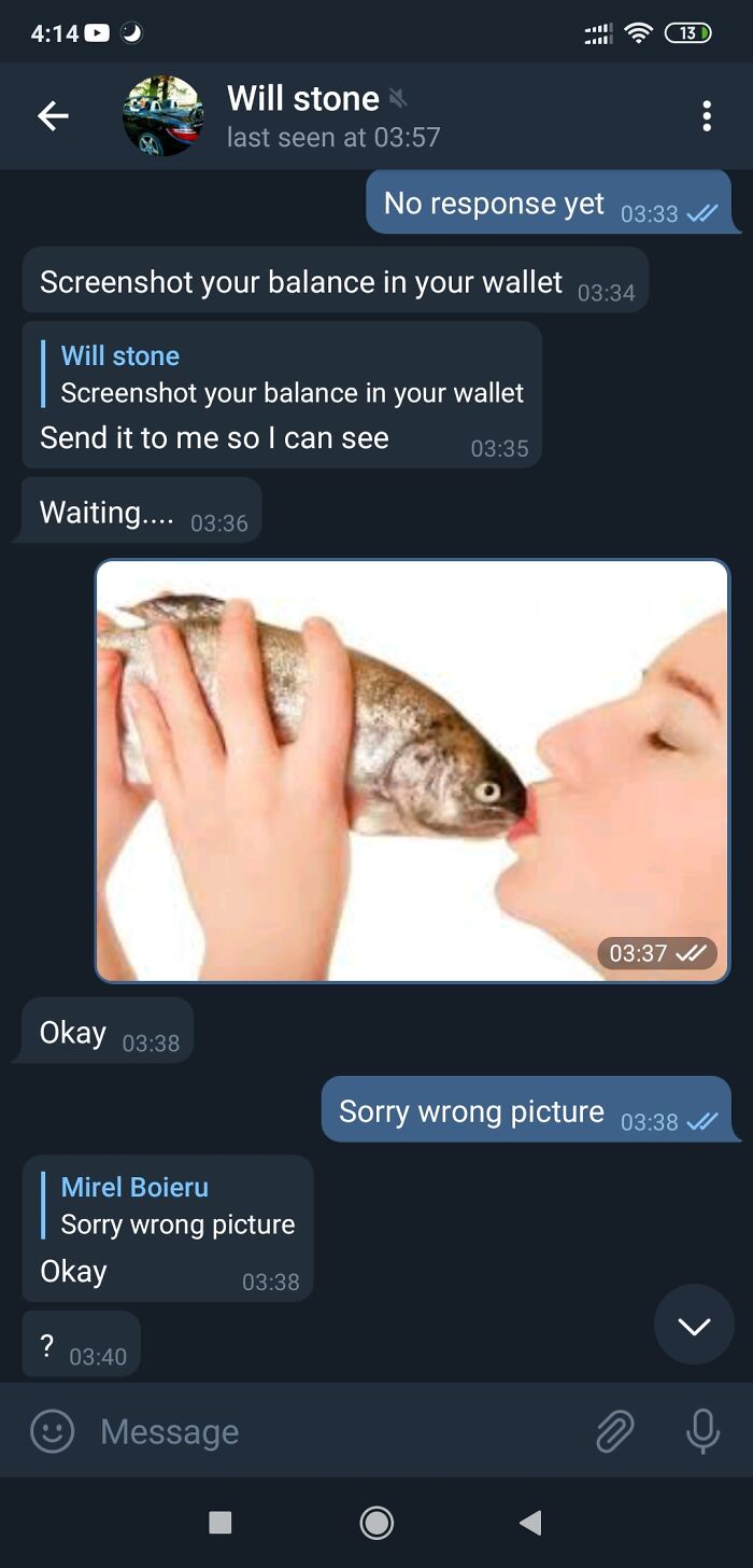 Interesting Interaction With A Telegram Bitcoin Scammer