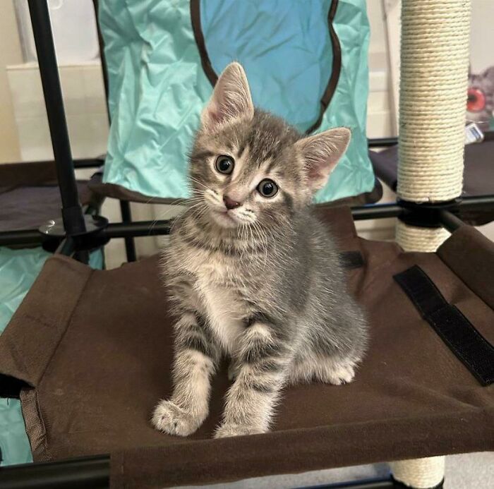 Newest Member Of The Family Collected Just Now 😍