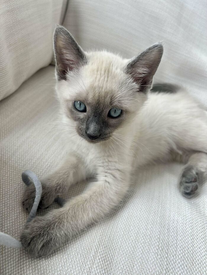 My First 24 Hours With Handsome!