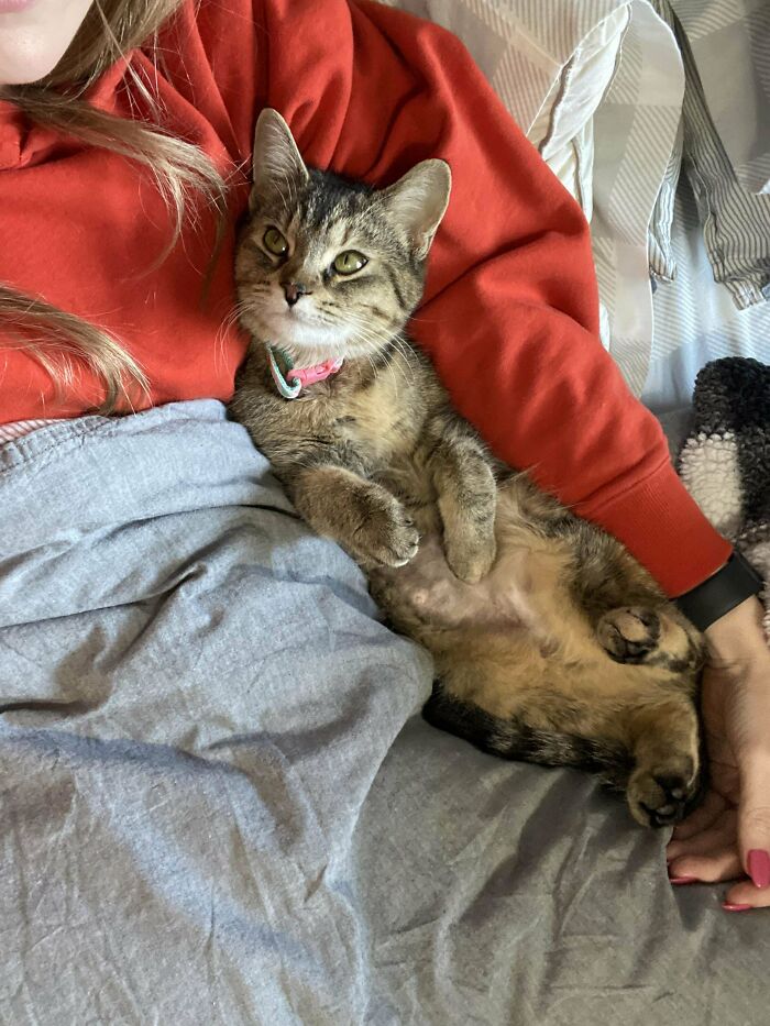 Just Adopted My First Sic!