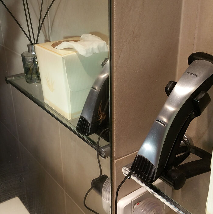 Spider on a shaver seen on a mirror reflection 