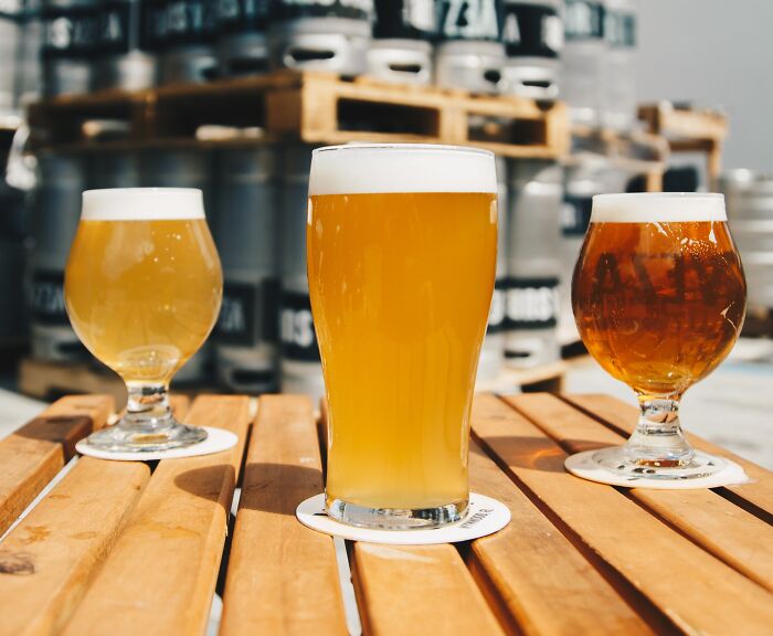 Three Different Types Of Bear On The Table 