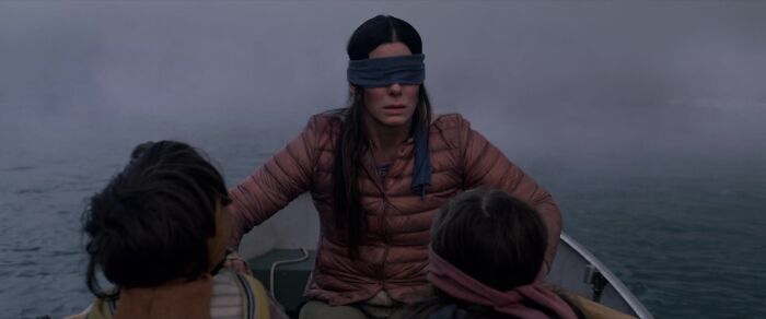 Scene from "Bird Box" movie