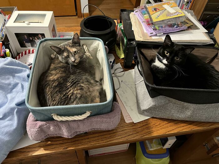 Attempted To Start Organizing My Desk… It Is No Longer **my** Desk