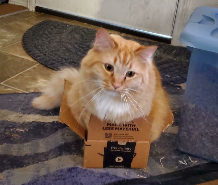 I'm Not Sure What's Going On Here But I'm Fairly Certain Fizzgig Is Breaking The Laws Of Physics