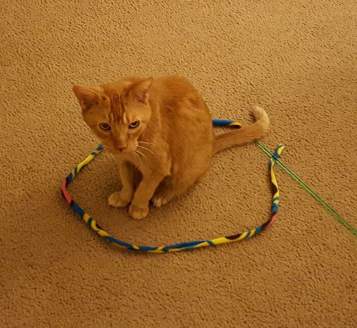 Textbook Trapping I Found From 2016. My Old Man Isaac Could Never Resist