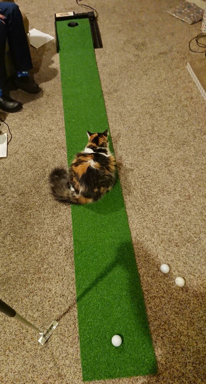 There's An Obstacle On The Green