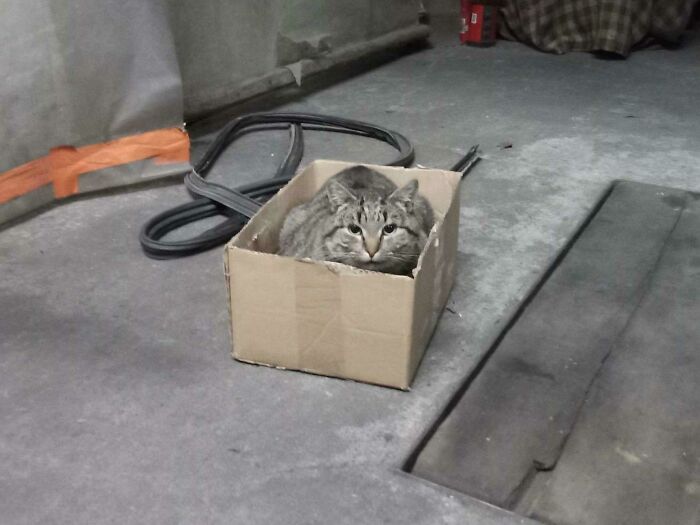 Some Handsome Boy In My Dad’s Garage