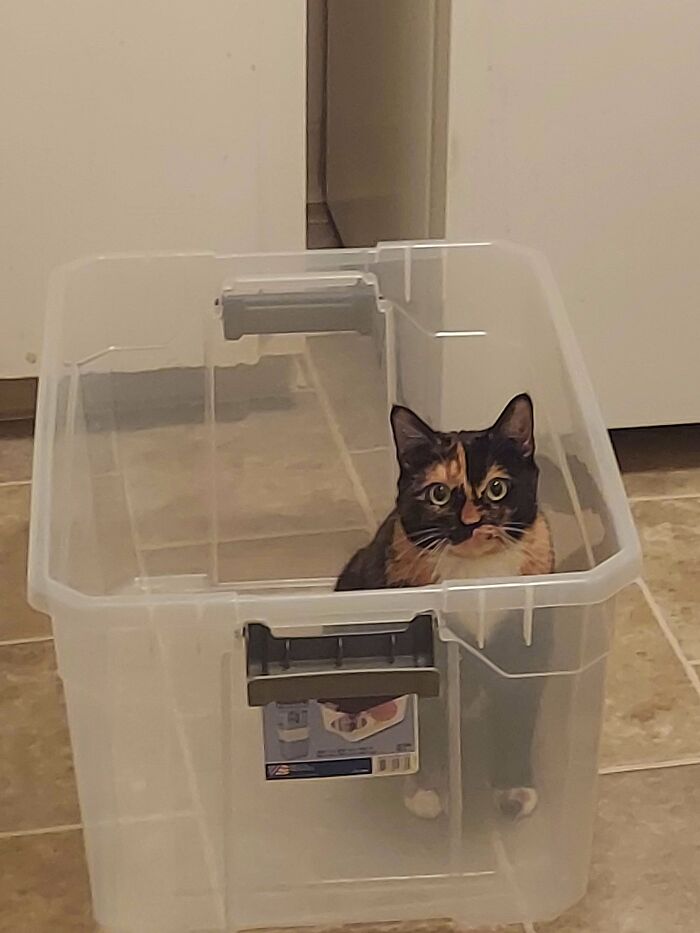 Beauty In A Box 📦