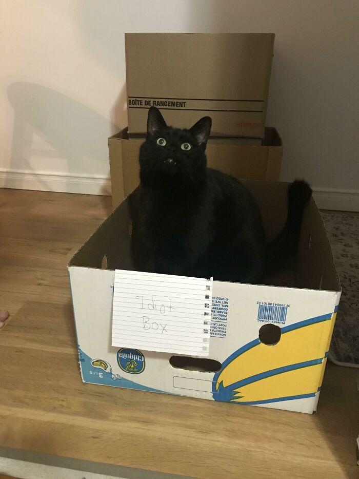 The Face Says It All