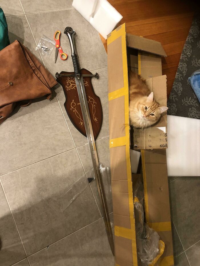 She Prefers The Box To The Sword