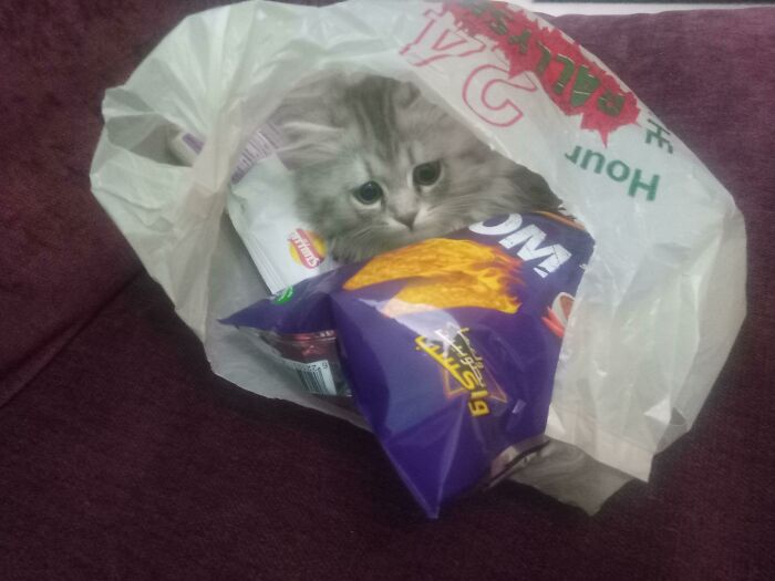 I Bought Some Snacks And I Found This