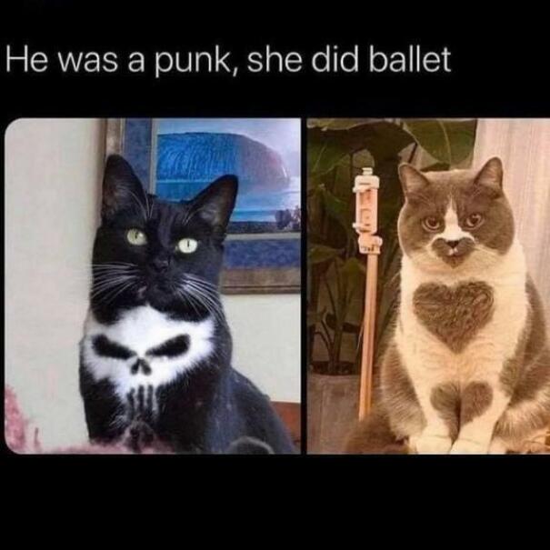 Punk vs. Ballet
