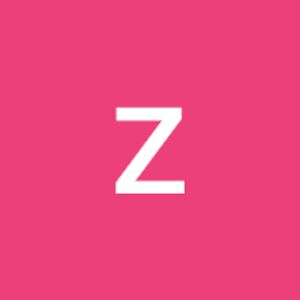 zarinazmohamadi avatar