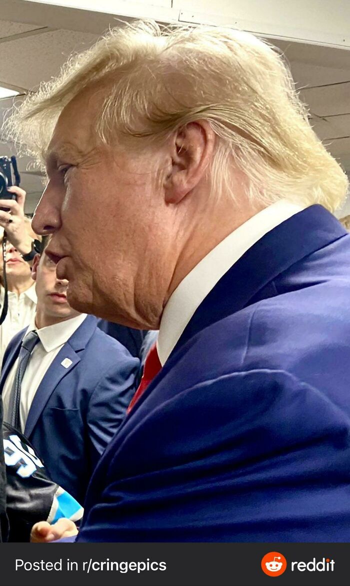 Dust Bunny Aesthetic