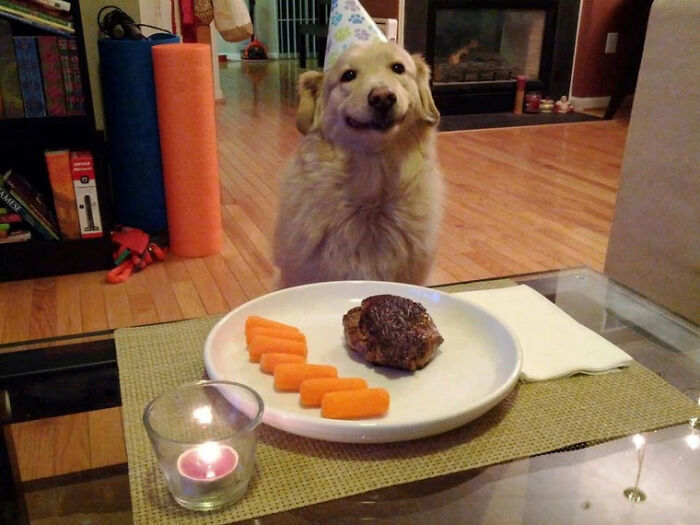 Golden retriever wearing a party hat sitting at a table with a plate of steak and carrots, cute animals eating adorably