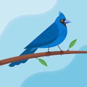 jebbreybazzos avatar