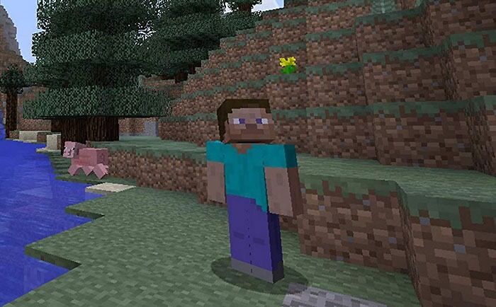 Steve (Minecraft)