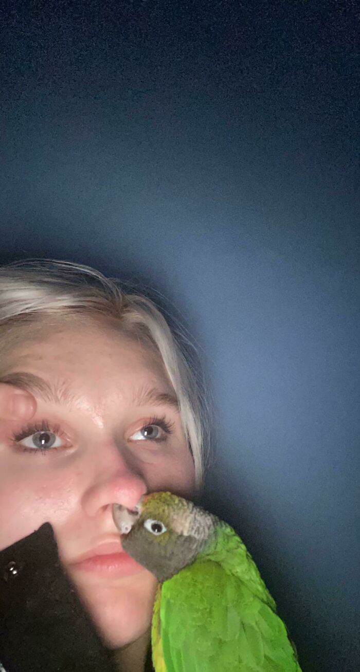 I Don’t Like This Bird