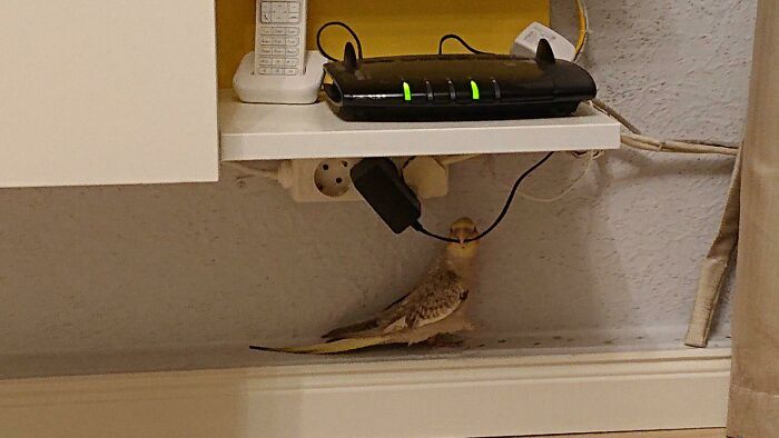 Really, No Caption Is Needed Here