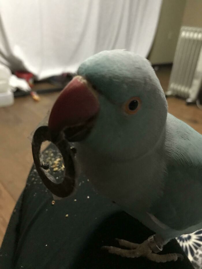 Hi. I Broke Your Fire Remote. Need Dis Piece?