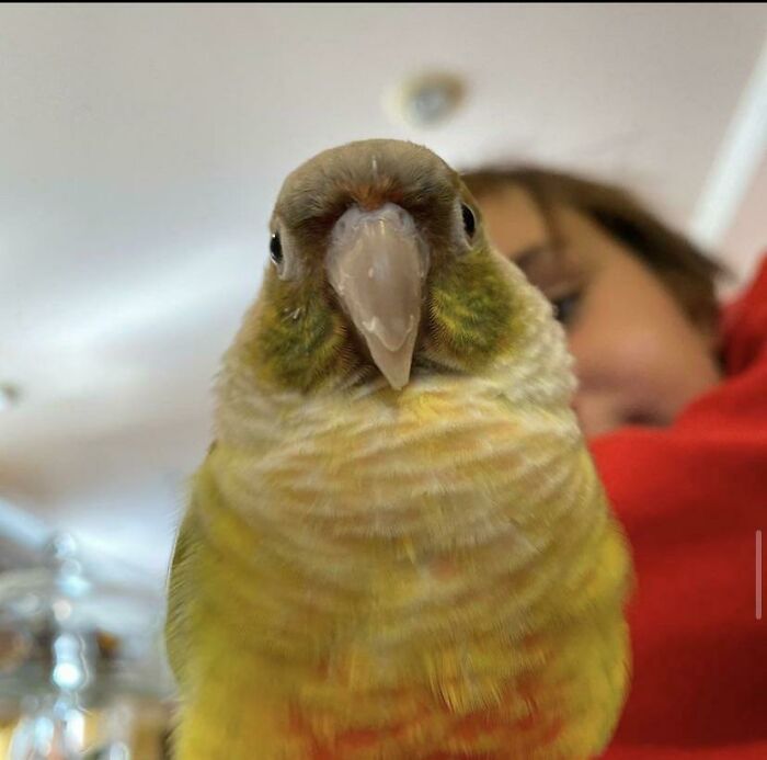 This Phot Was Taken Before He Walked In My Head And Took A Shit On Me