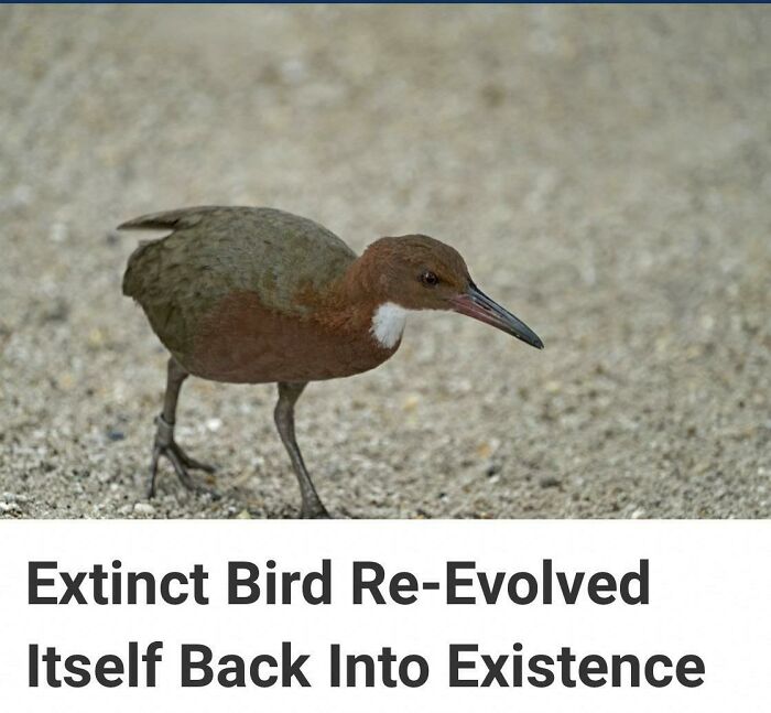 They Won’t Be Stopped