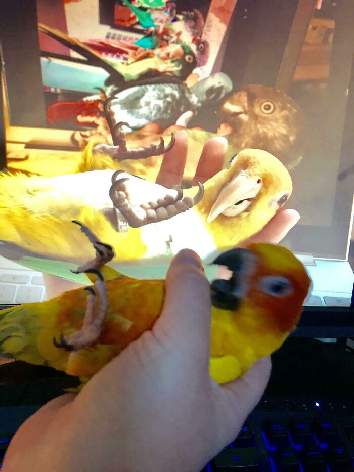 Top 10 Pictures Taken Seconds Before A Disaster