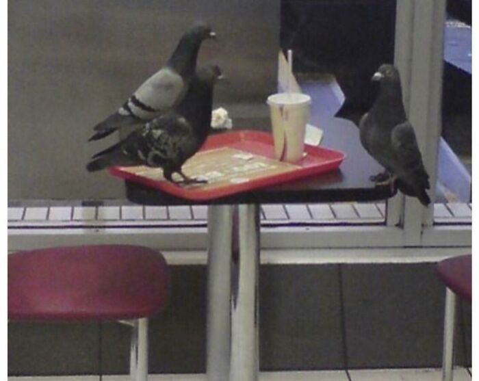 You Just Know Something Is Going Down Here