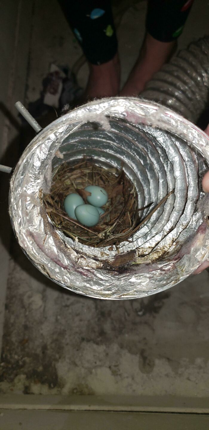 Figured Out Why My Clothes Haven't Been Drying