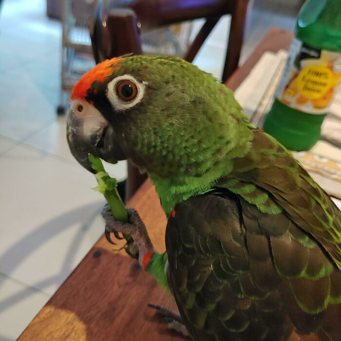 Stole The Broccoli Right Off My Plate!