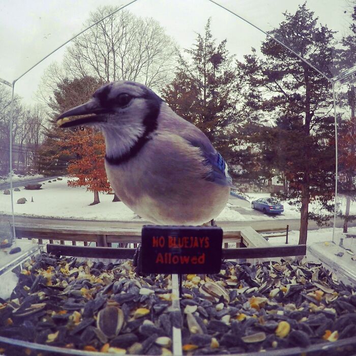 The Sign Did Nothing