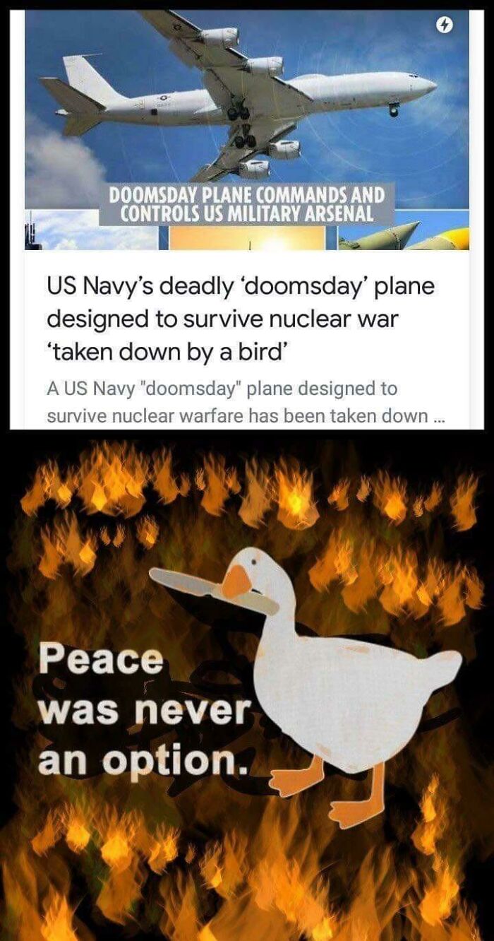 Nope. Sorry Birds Exist. This Asshole Is Proof