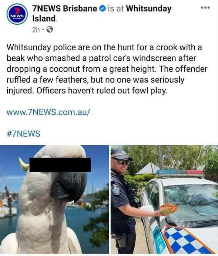 I Think We Have A Criminal Here