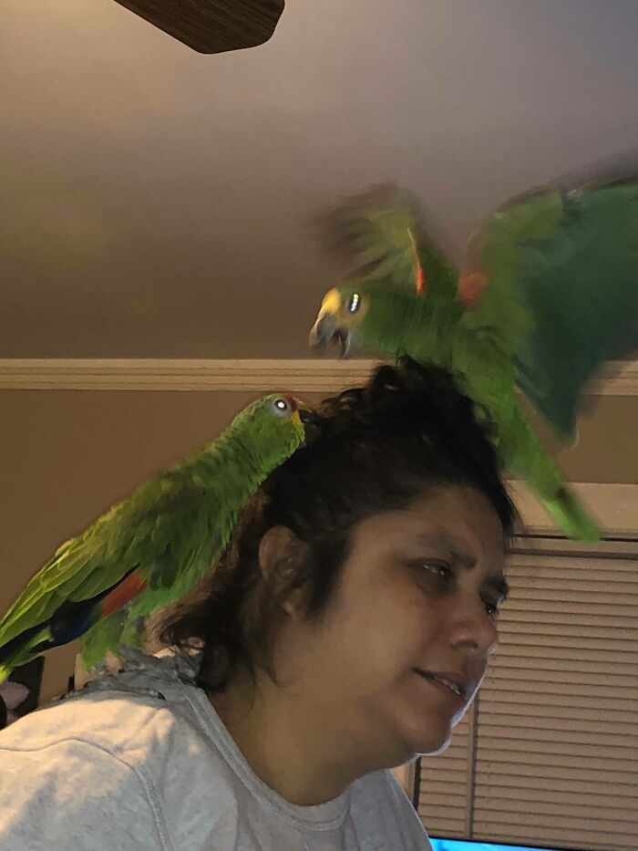 I Think This Belongs Here