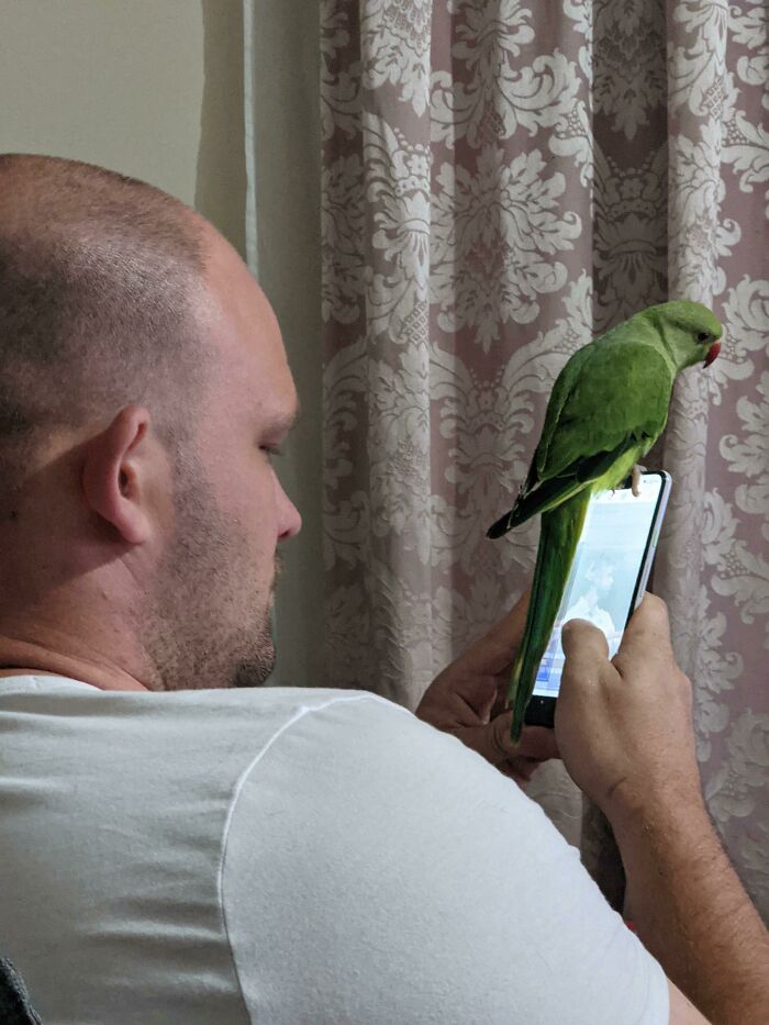 Just Want To Scroll In Peace