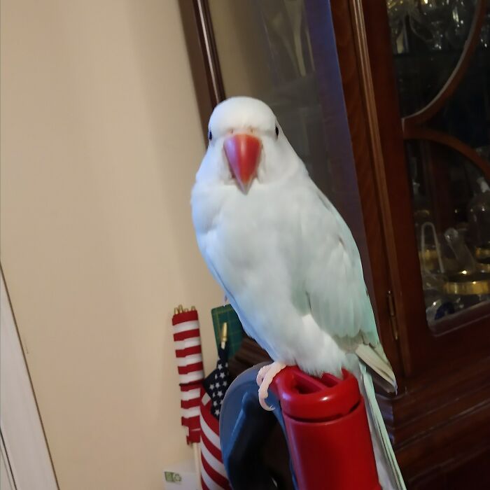 Thought She Fit Here Cuz She Is Always Rude And Mean