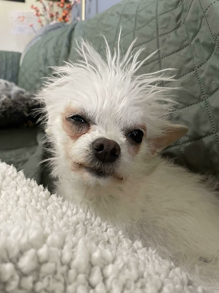 Sonia echa tantas siestas que se despierta en otro planeta