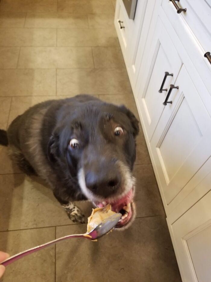 Porter es adicto a la mantequilla de cacahuete