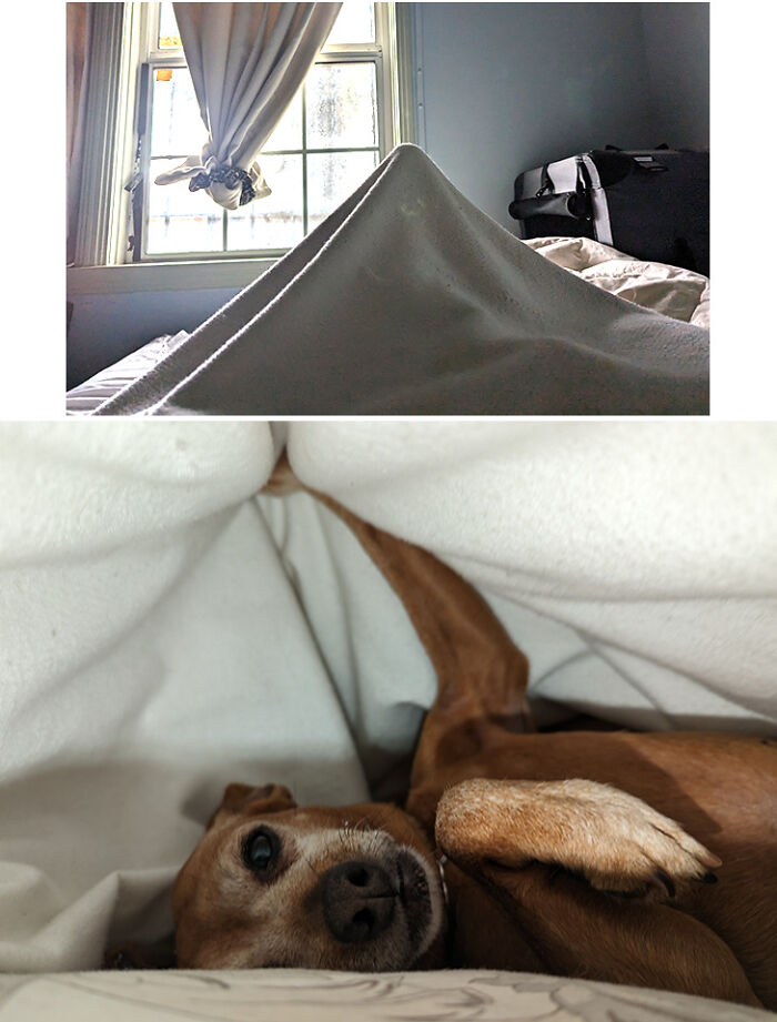 Me despierto con esto cada mañana