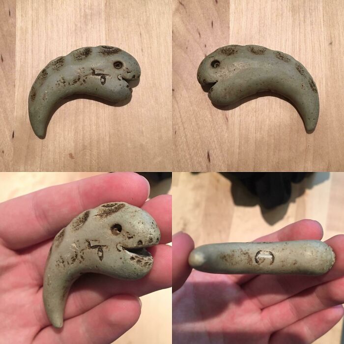 A Fish Like Object Found In A River