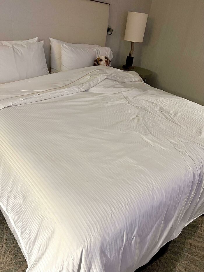 "¿Te importa apagar la luz? Gracias"