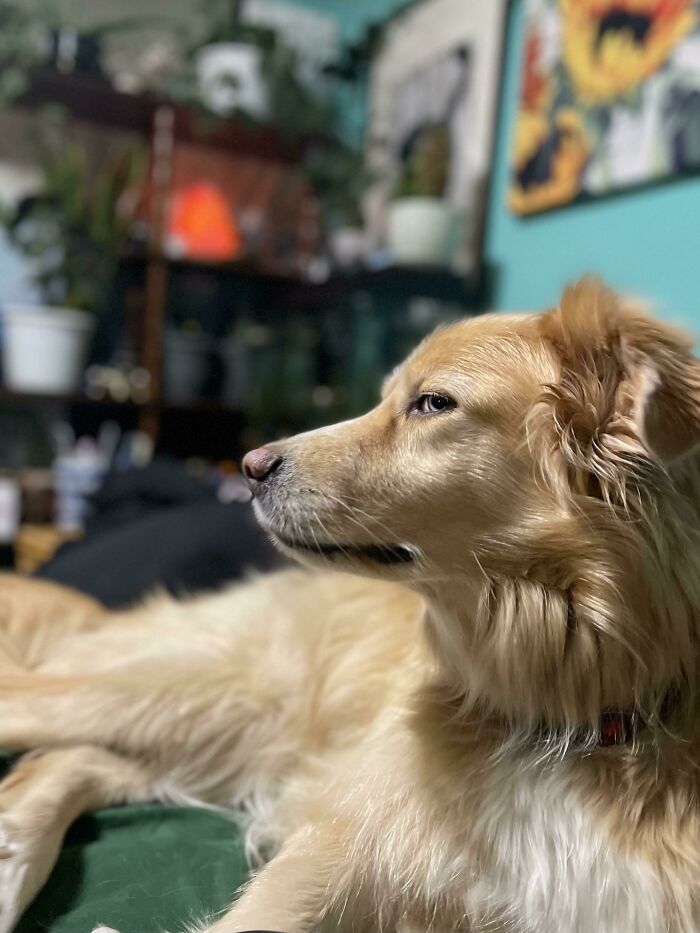 Ace sospecha de muchas cosas...