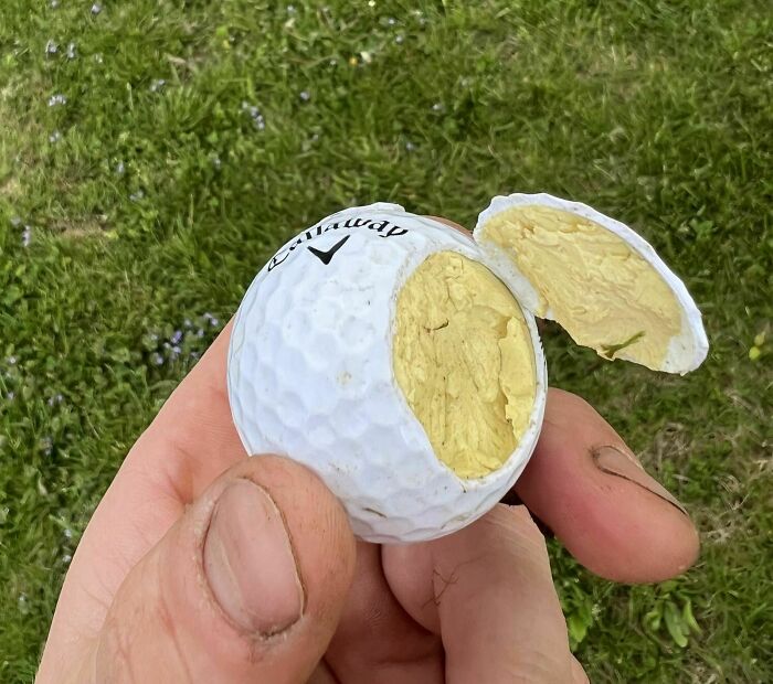 The Inside Of This Golf Ball Looks Like A Boiled Egg