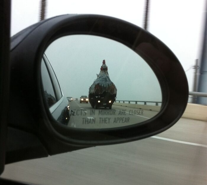 Man with a massive chicken on top of a car 