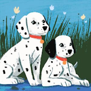 sophiefrankel avatar