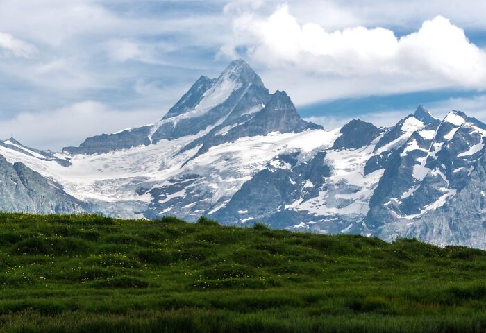Snowy mountains and green field 
