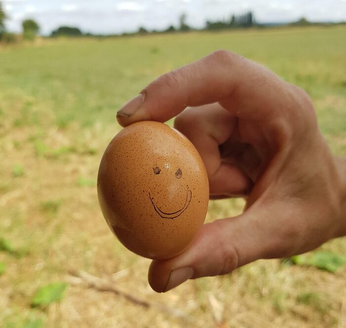 I'm 37 Years Old But I Don't Care, I'm So Happy To Receive A Packed Lunch From My Mum Complete With A Happy Hard-Boiled Egg