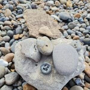 anthonypedersen326 avatar