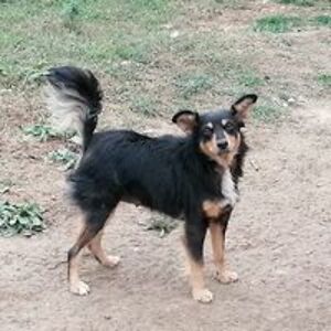 peter_sedunko avatar